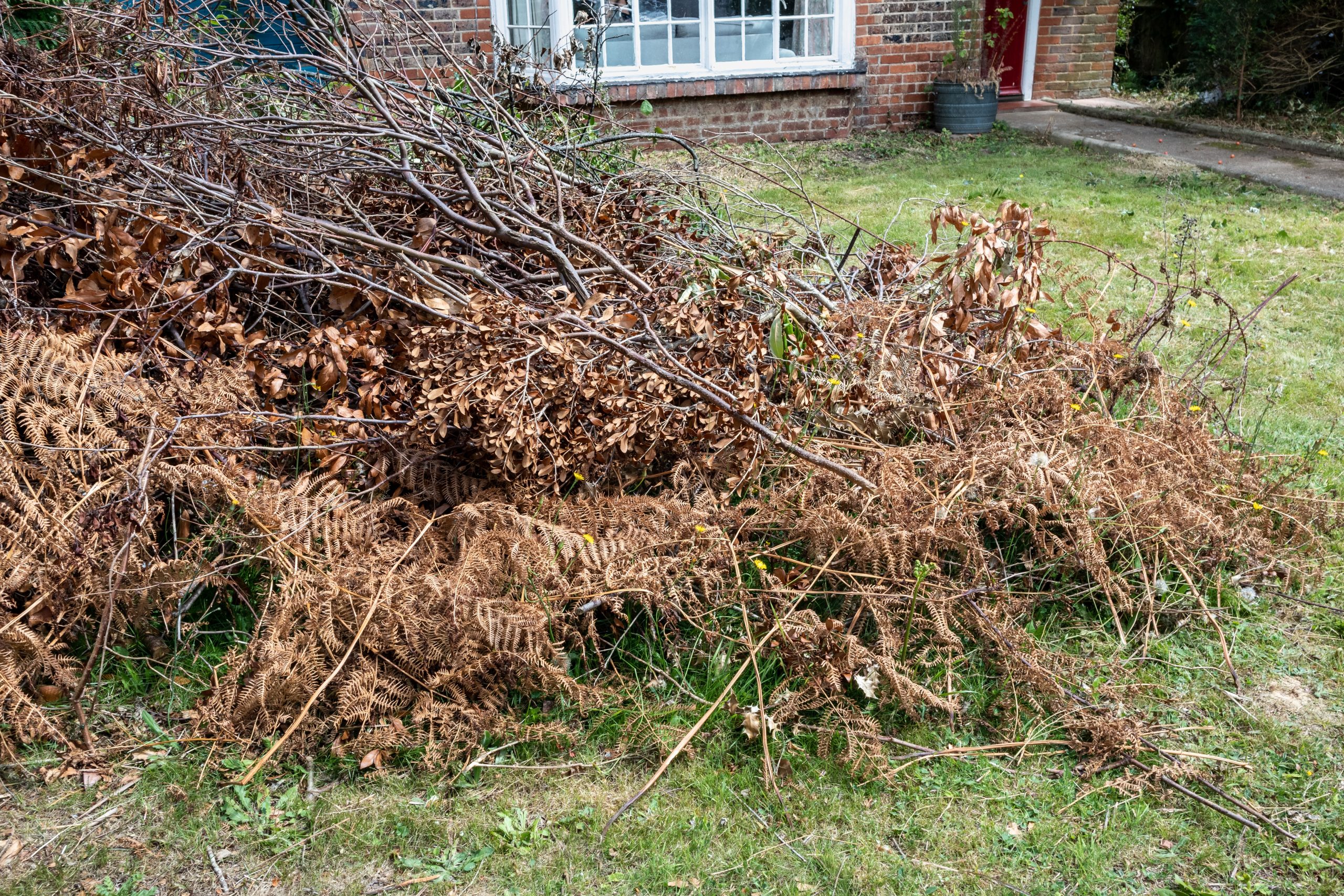 Garden Green Waste Removal Bexley DA5